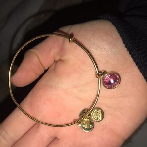 Alex and Ani Pink Gem Bracelet